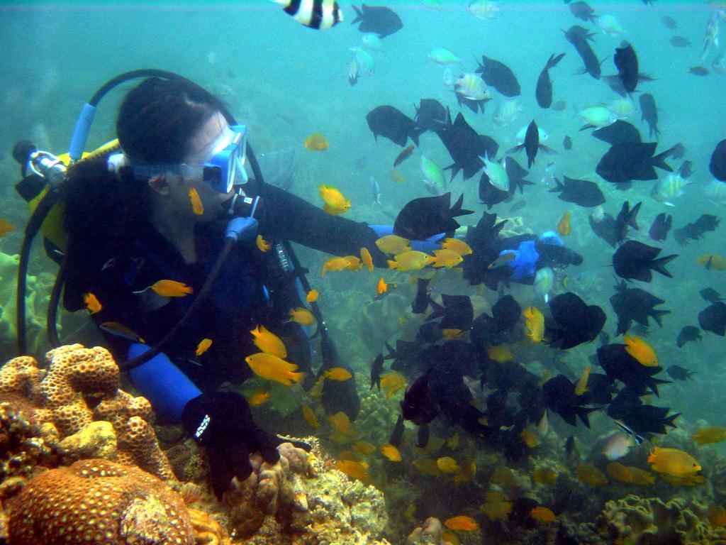 Paradise Island Park & Beach Resort Samal Ngoại thất bức ảnh