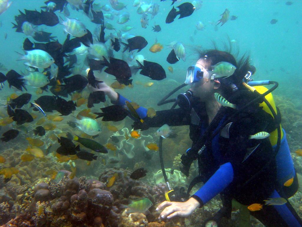 Paradise Island Park & Beach Resort Samal Ngoại thất bức ảnh